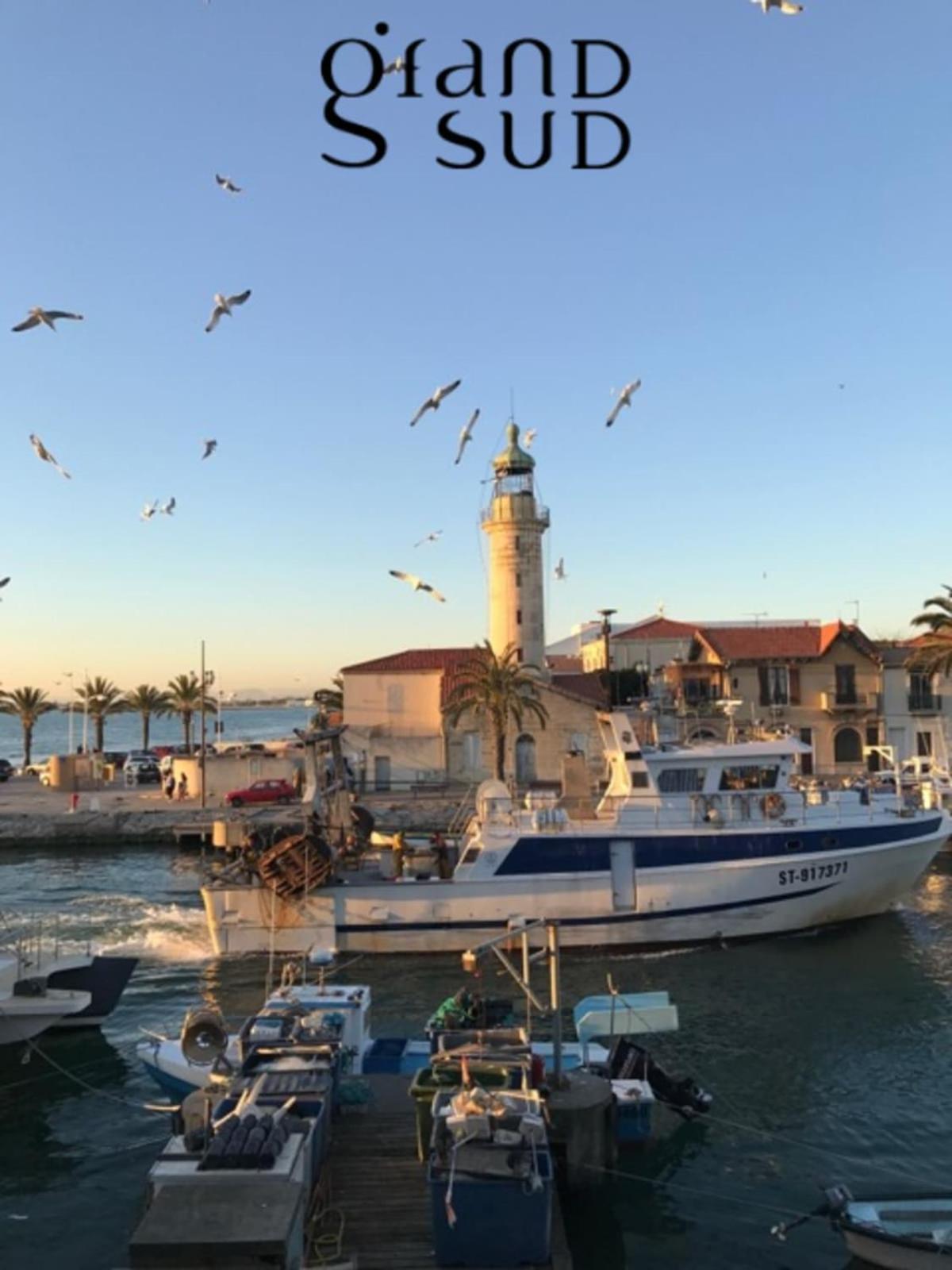 Le Soleil Couchant Studio Vue Mer Le Grau-du-Roi Bagian luar foto